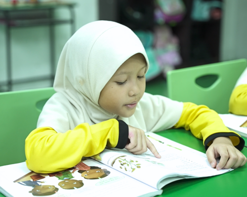 greenview-islamic-international-preschool-programmes (1)